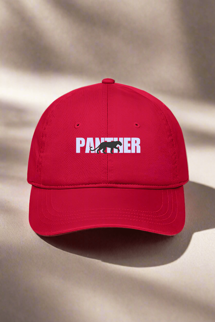 TuckTribePower of PANTHER Embroidered CapBaseball Cap