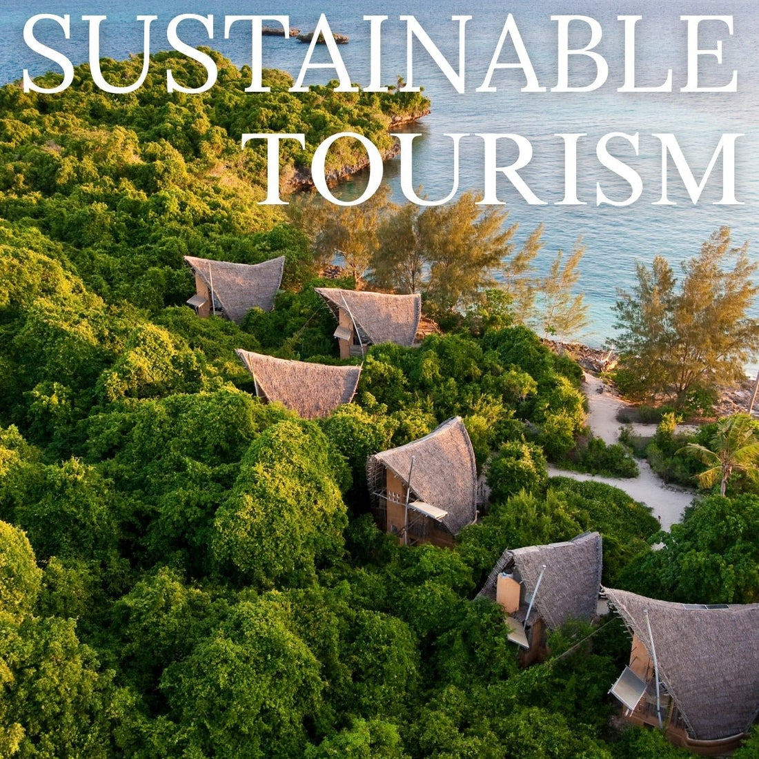 Sustainable Tourism and Its Role in Wildlife Conservation in India - TuckTribe