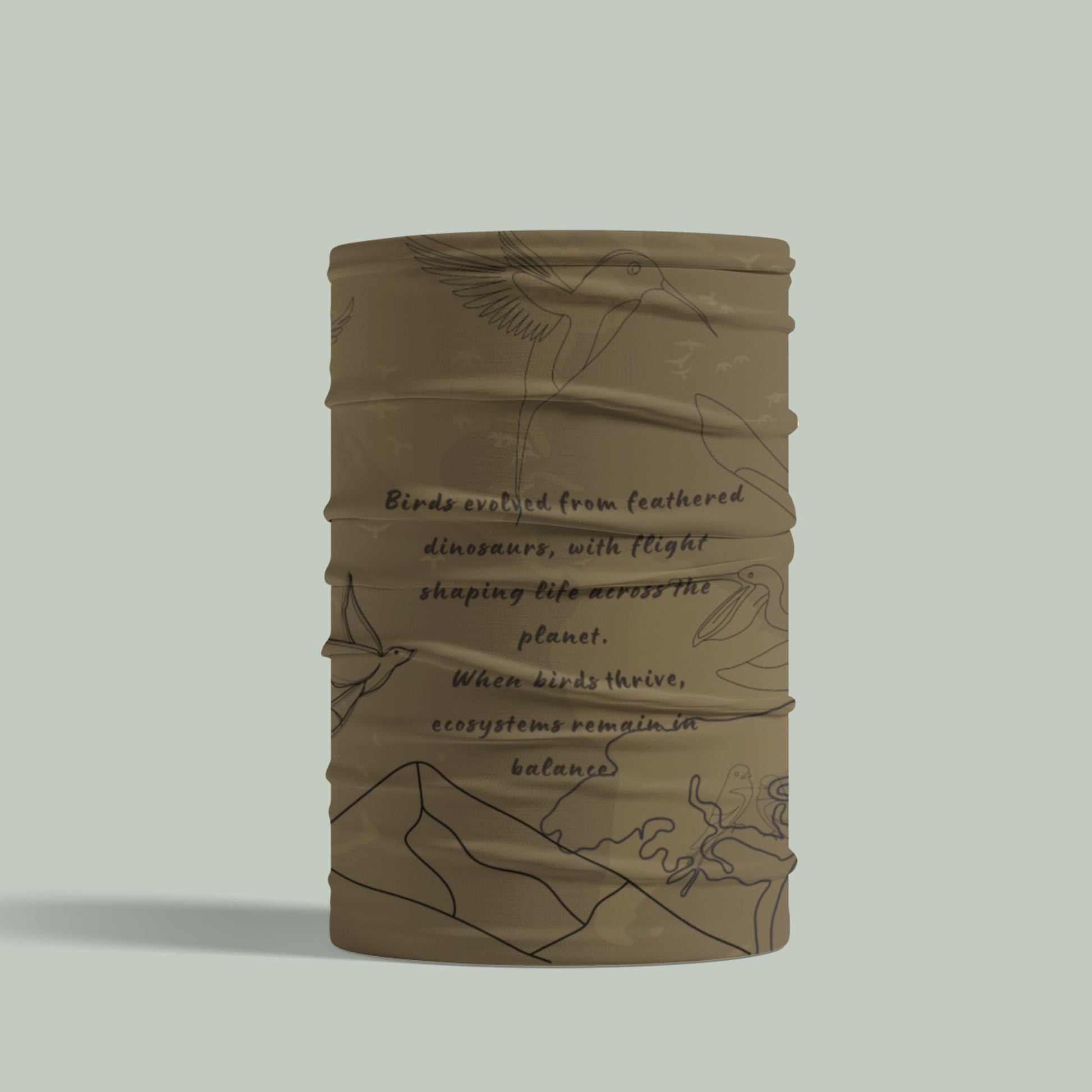 bird evolution wildlife buff tucktribe